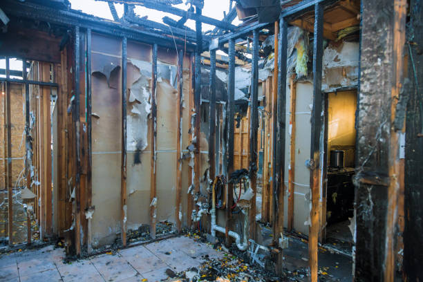 Professional Fire Damage Repair technician working in Cortez, FL